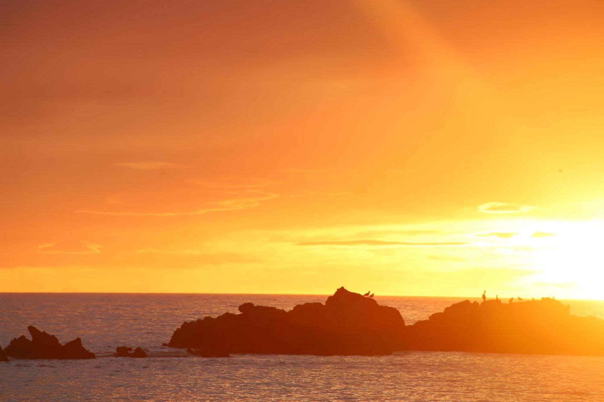 Sierra Beachfront Motel Kaikoura Eksteriør bilde