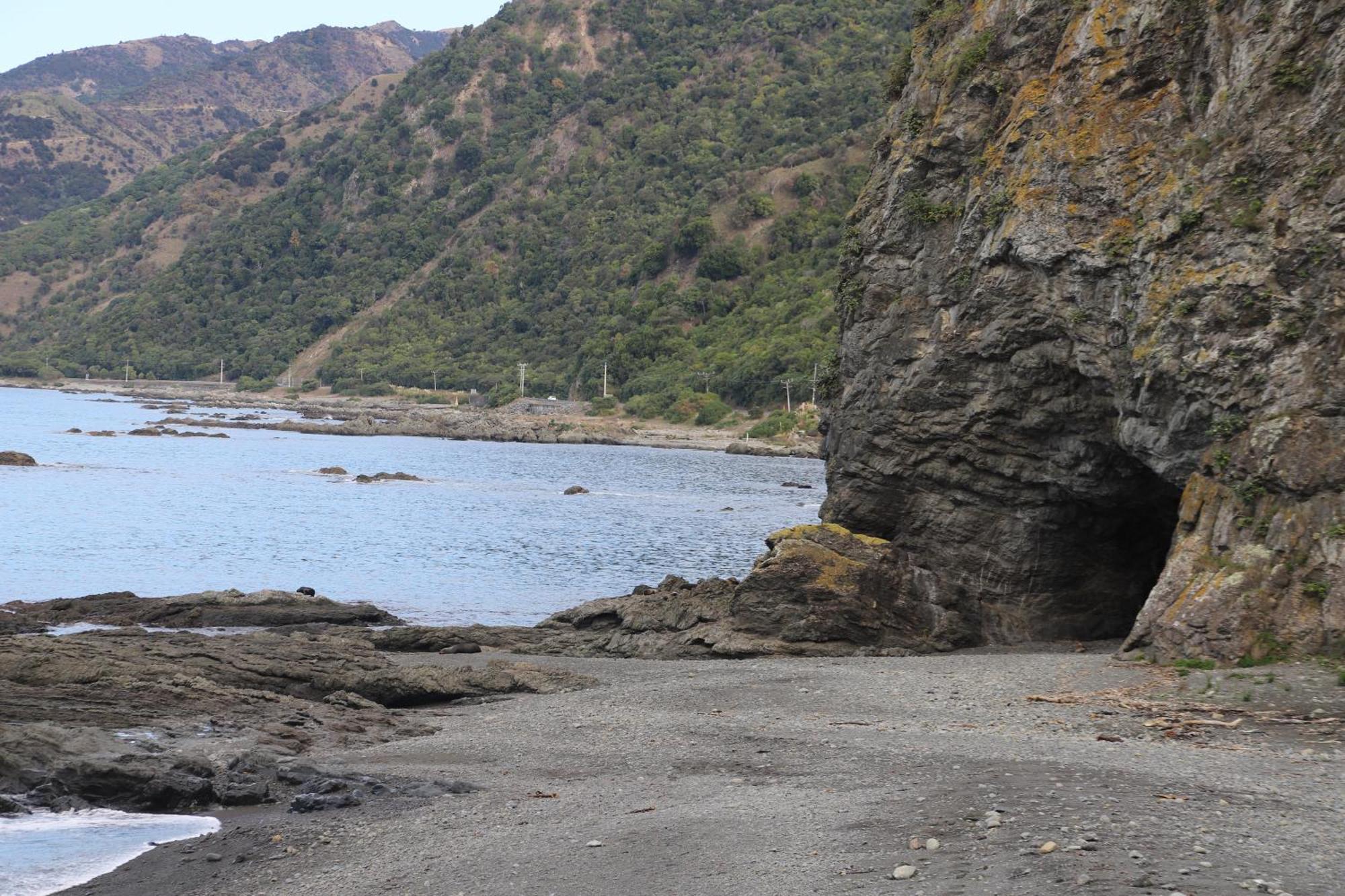 Sierra Beachfront Motel Kaikoura Eksteriør bilde