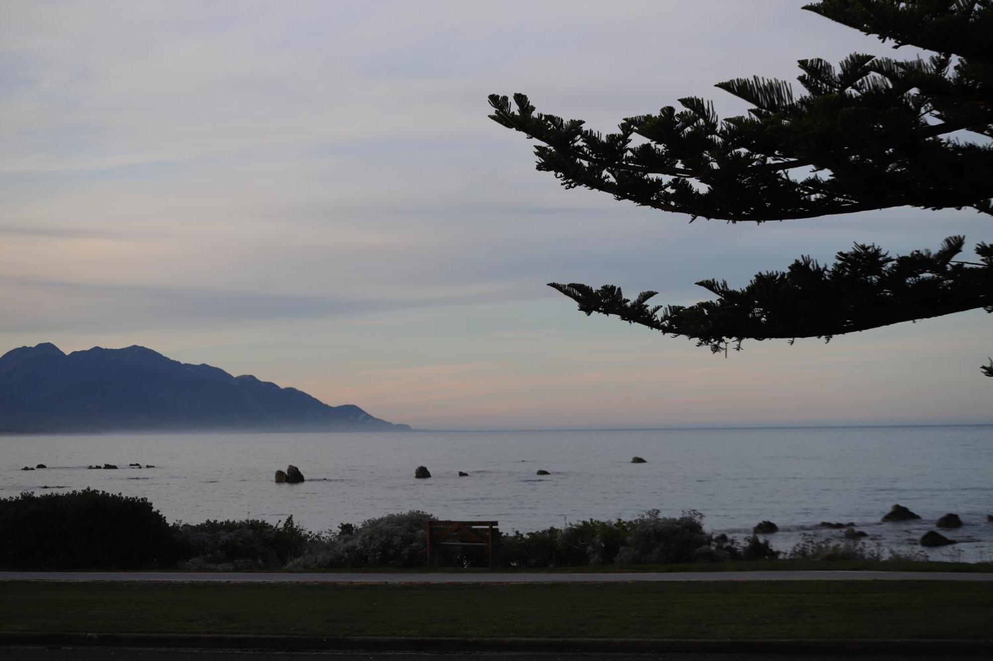 Sierra Beachfront Motel Kaikoura Eksteriør bilde